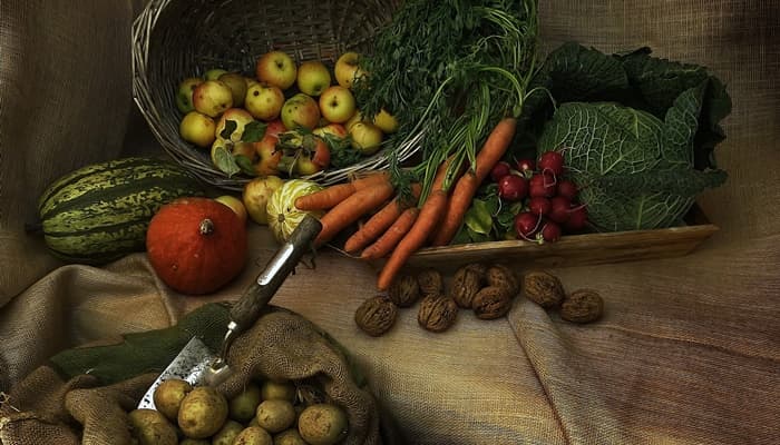 Bitkisel Ürün Denge Tabloları – 2025