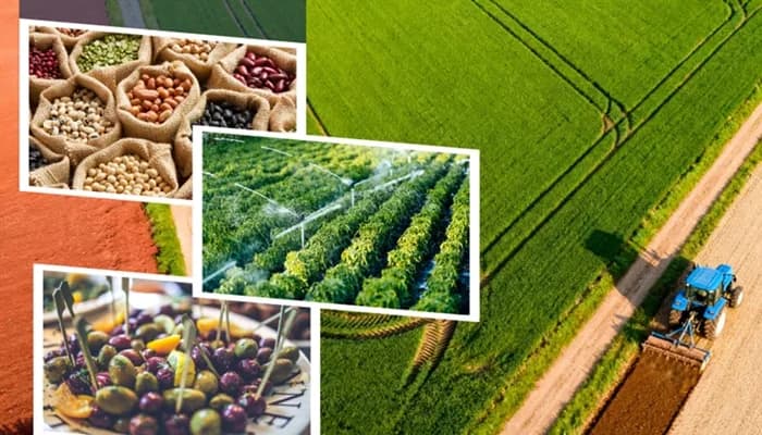 Çiftçilere 10,6 Milyar Liralık Tarımsal Destek Ödemesi